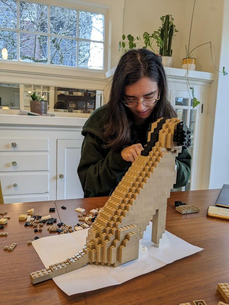 Kit personnalisé pour animaux de compagnie