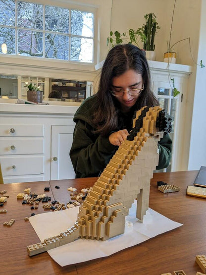 Kit personnalisé pour animaux de compagnie