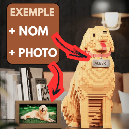 Kit personnalisé pour animaux de compagnie