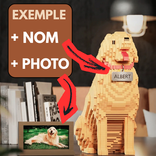 Kit personnalisé pour animaux de compagnie