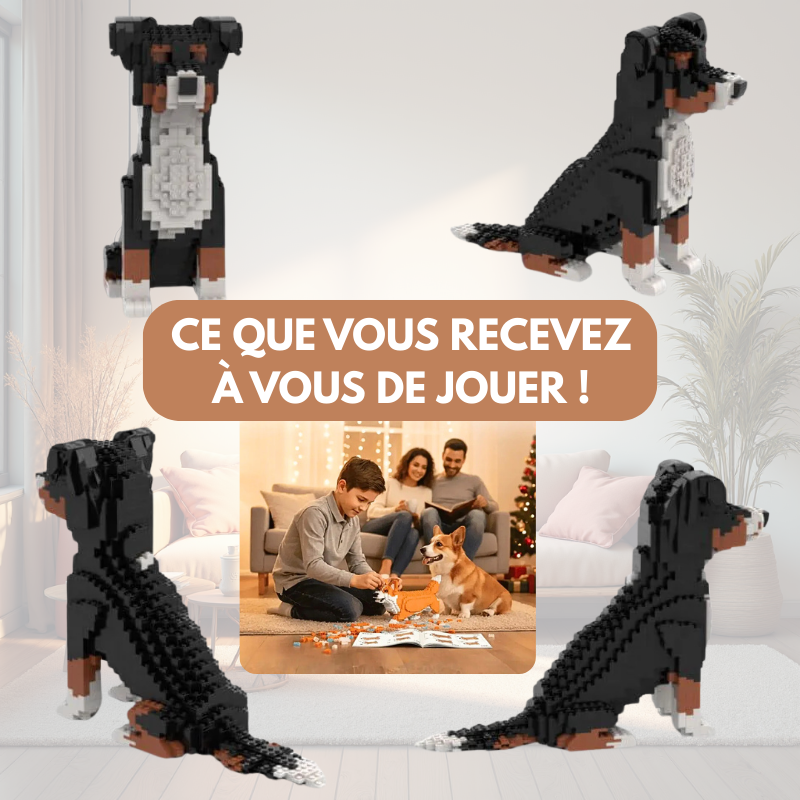 Kit personnalisé pour animaux de compagnie