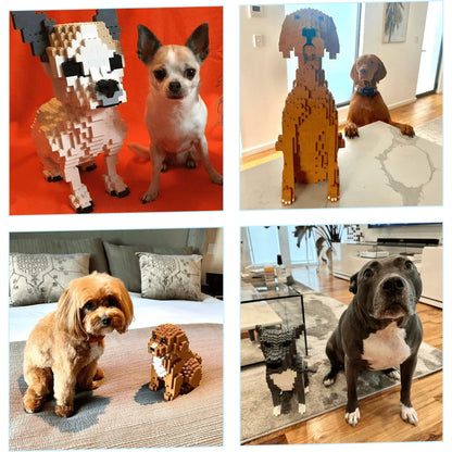 Kit personnalisé pour animaux de compagnie