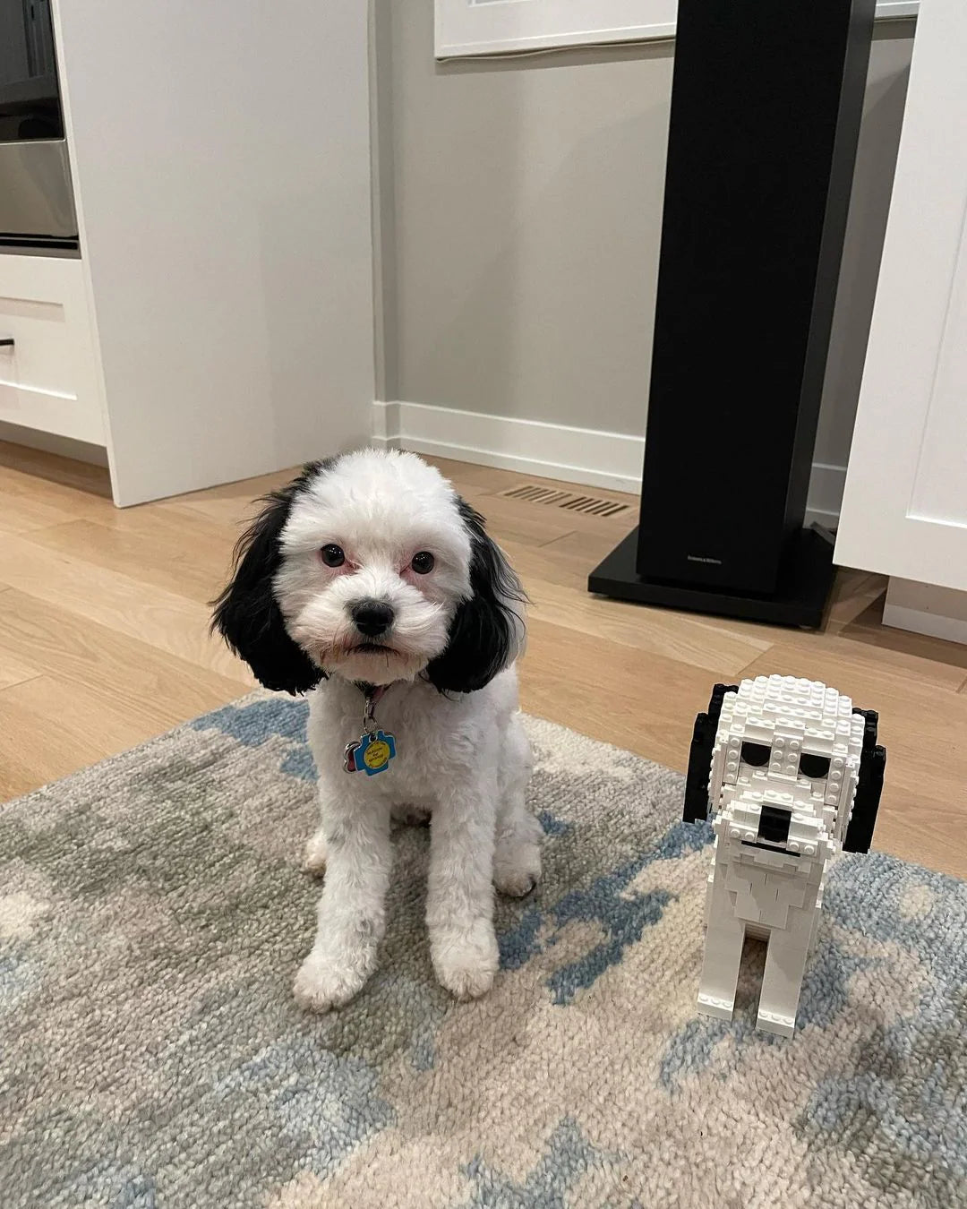 Kit personnalisé pour animaux de compagnie