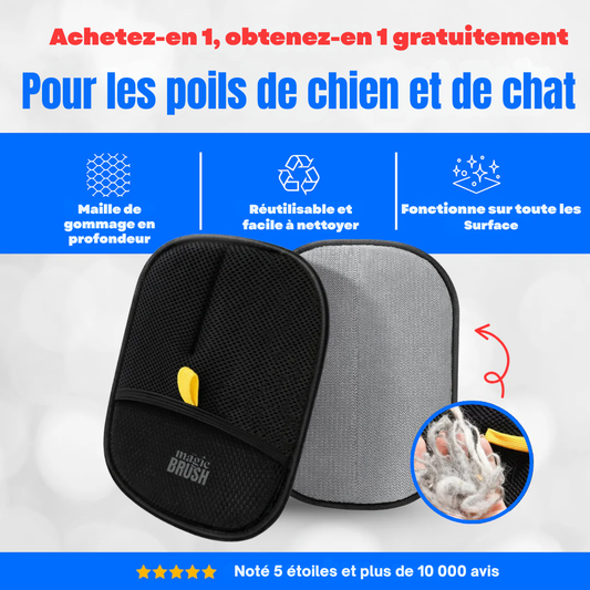 The Magic Brush™ I 1 acheté = 1 offert