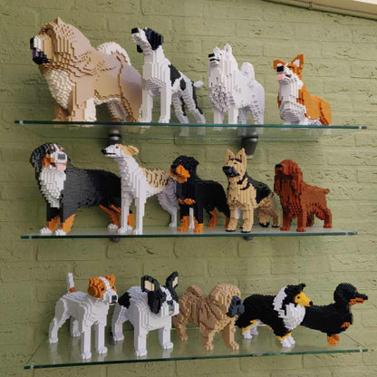 Kit personnalisé pour animaux de compagnie