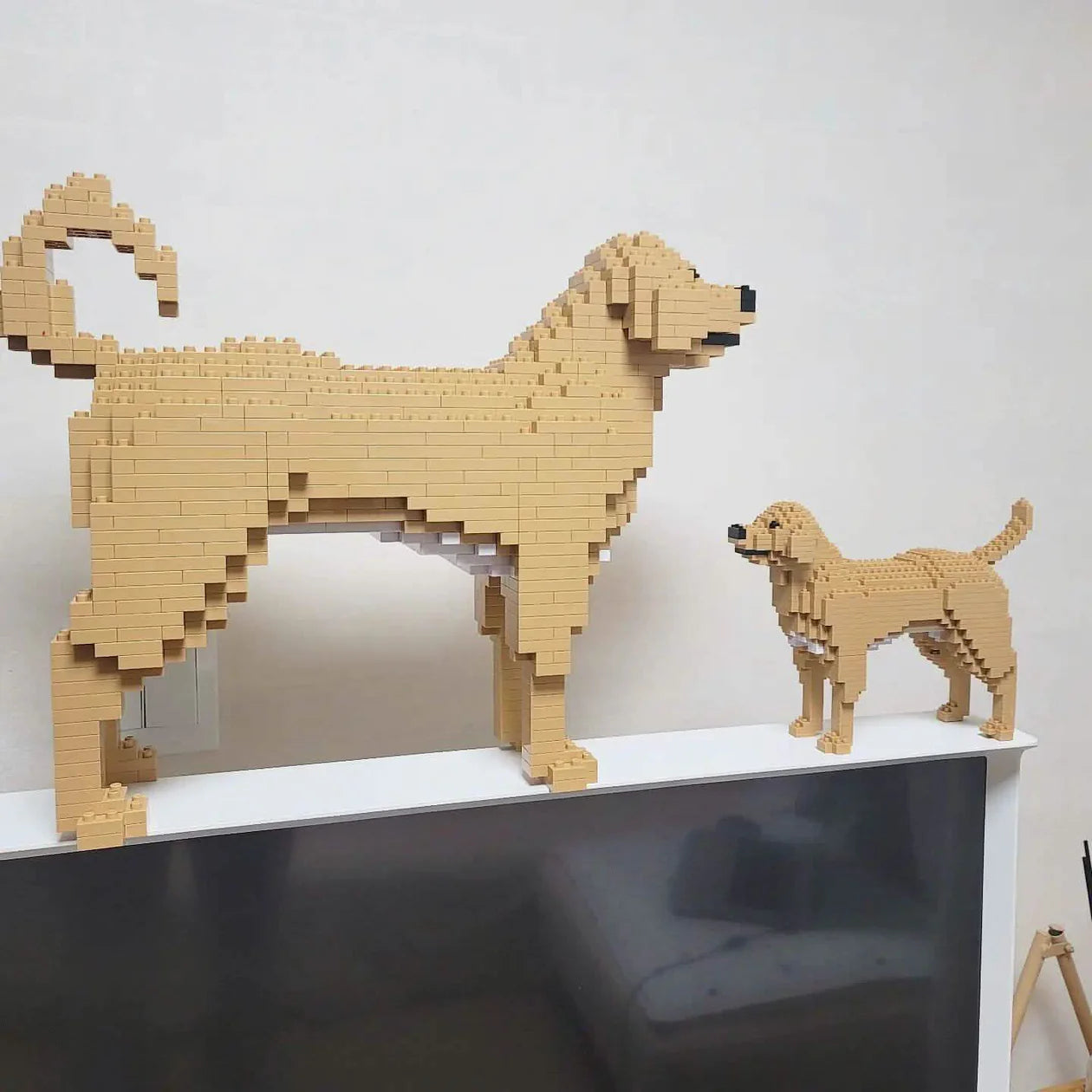 Kit personnalisé pour animaux de compagnie