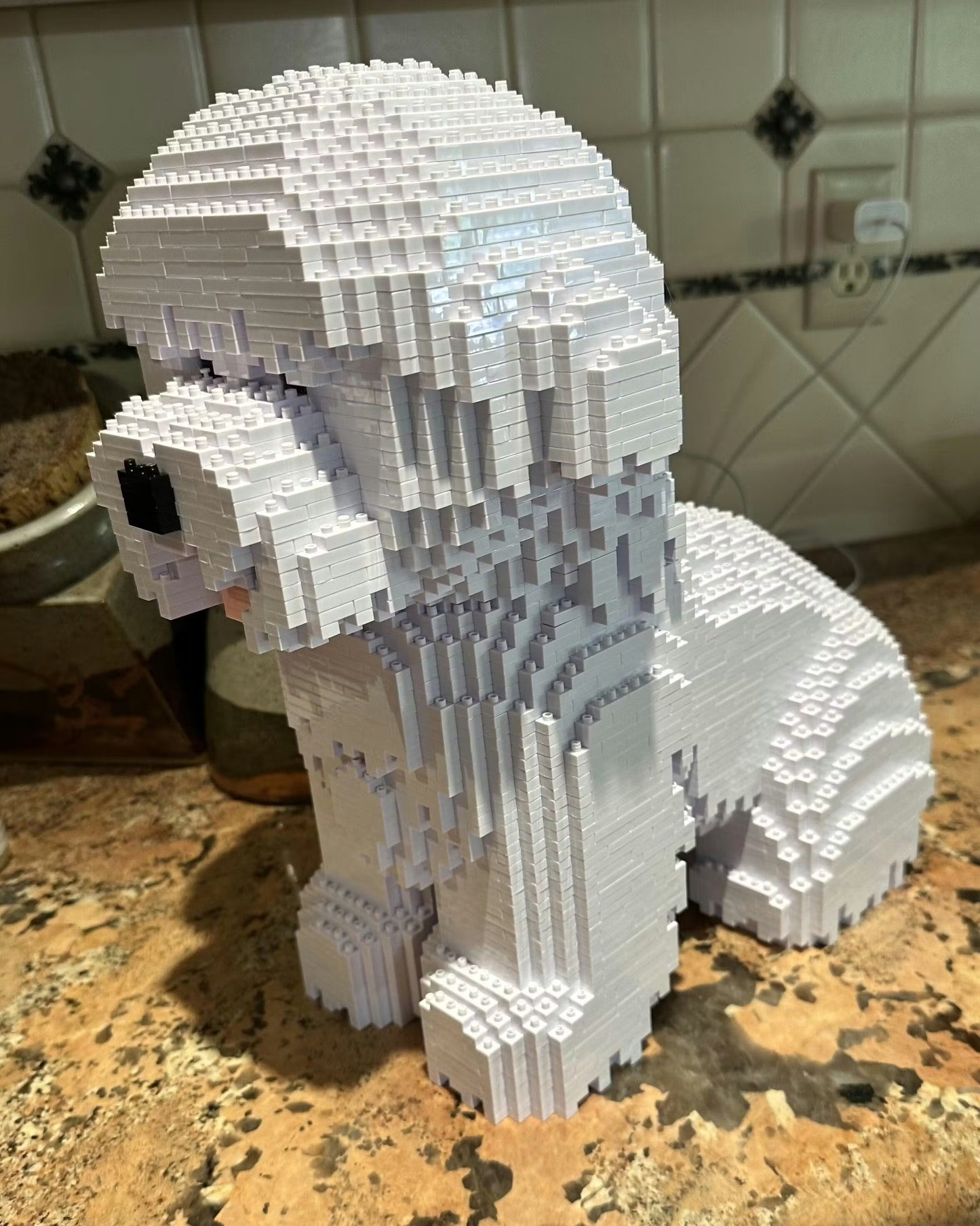 Kit personnalisé pour animaux de compagnie