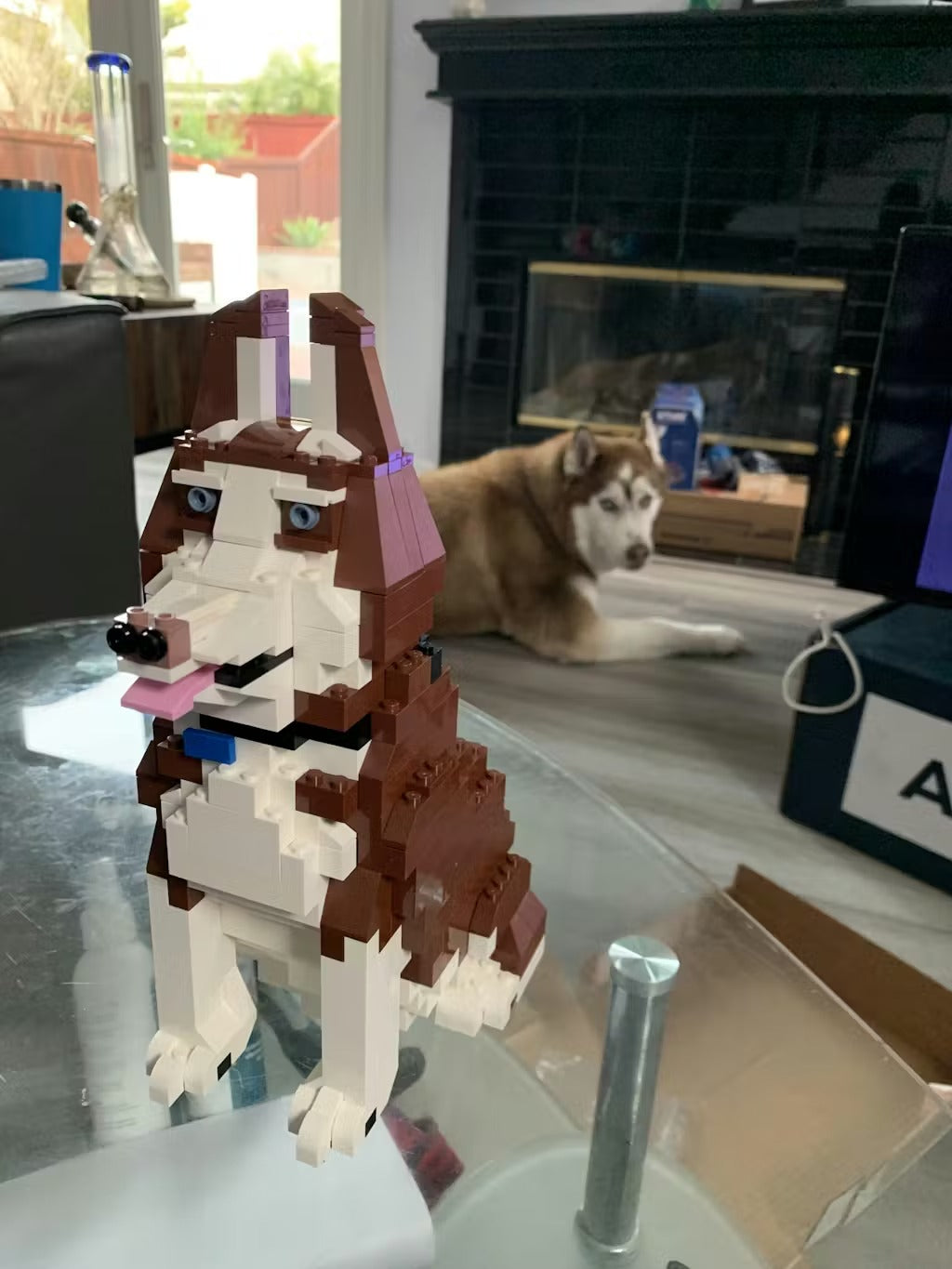 Kit personnalisé pour animaux de compagnie