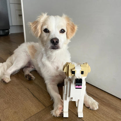 Kit personnalisé pour animaux de compagnie