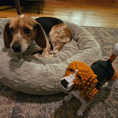 Kit personnalisé pour animaux de compagnie